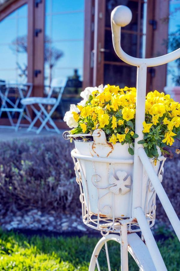 Feniks Agro&Spa Adults Only Świnoujście Eksteriør bilde