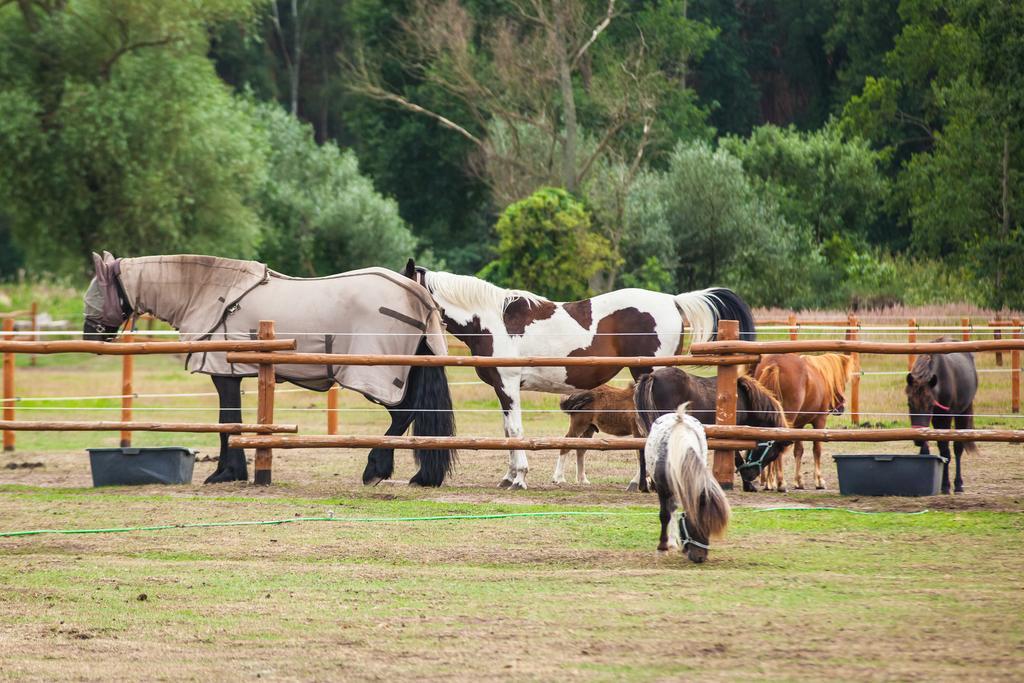 Feniks Agro&Spa Adults Only Świnoujście Eksteriør bilde